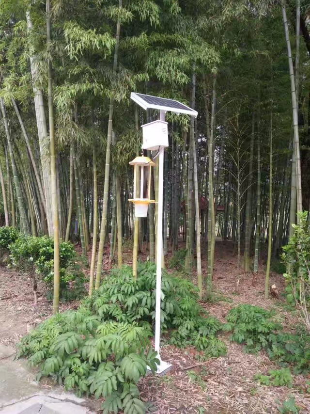 厂家直销 太阳能杀虫灯灭虫灯果园茶园农用频振式驱蚊灭虫灯