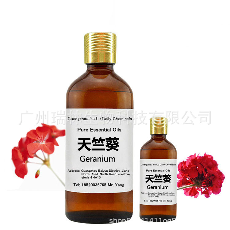 批发  天竺葵精油 植物精油 单方精油10ml起