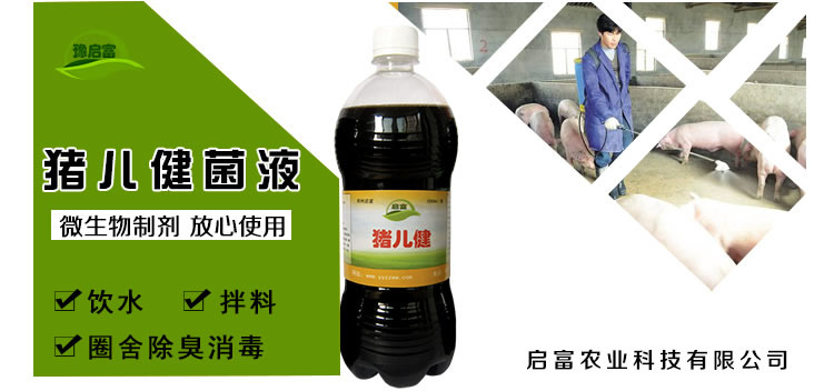 启富猪儿健菌液