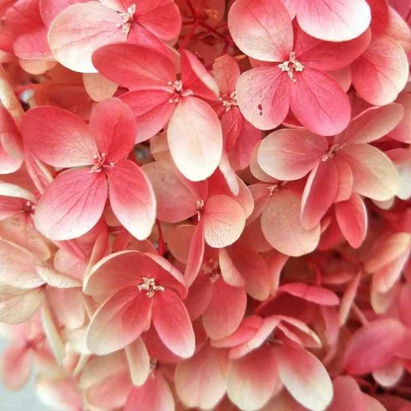 微信图片_20181126141554_副本