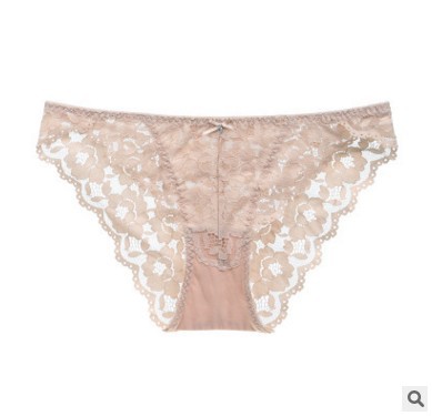 sexy lace low waist briefs NSCL9235