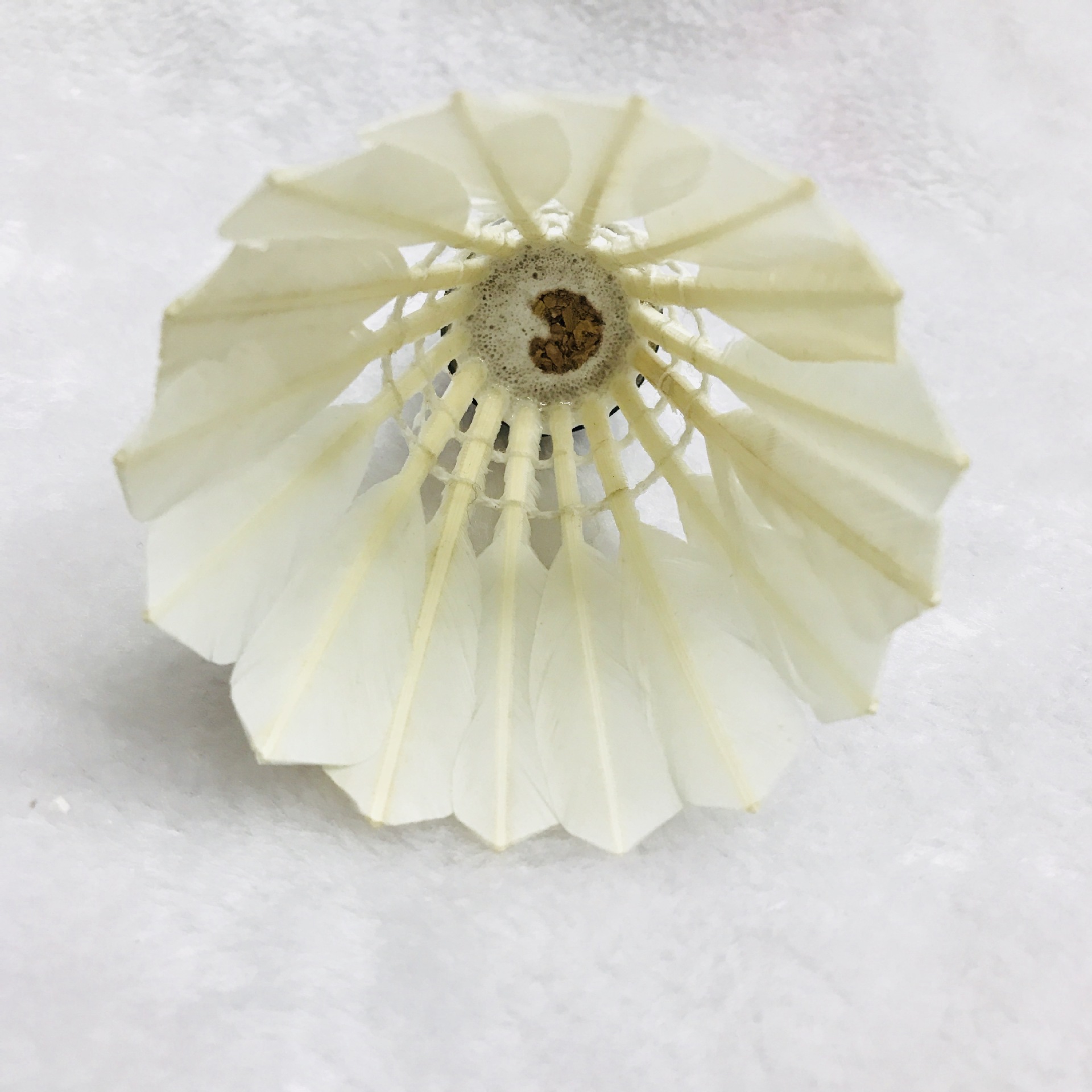 IMG_3122(20180305-112228)