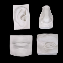 石膏像;其他美术用品;画夹画板