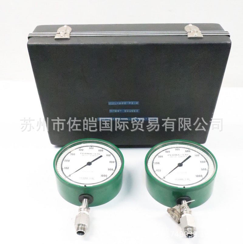 美国PERMA-CAL品牌100NTM11G23型号原装检测压力表