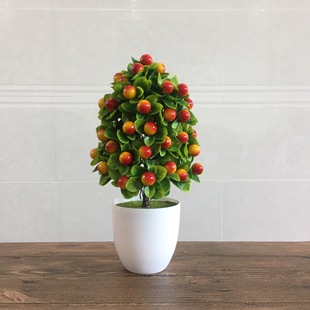 �S��ֱ�N����ˮ������ ����Gֲ���辰 �Ӽ��k���b�����ٻ��[��