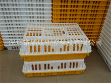 供應廣西玉林雞籠雞苗籠 雞籠鴿子籠塑料雞籠運輸籠 養殖廠通用籠
