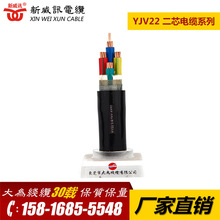 �������Ӎ��|�� YJV22-2*16�~���z�b��|