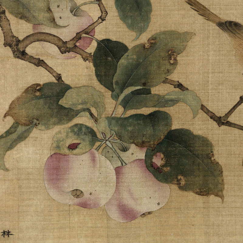 宋-林椿-果熟来禽2.jpg