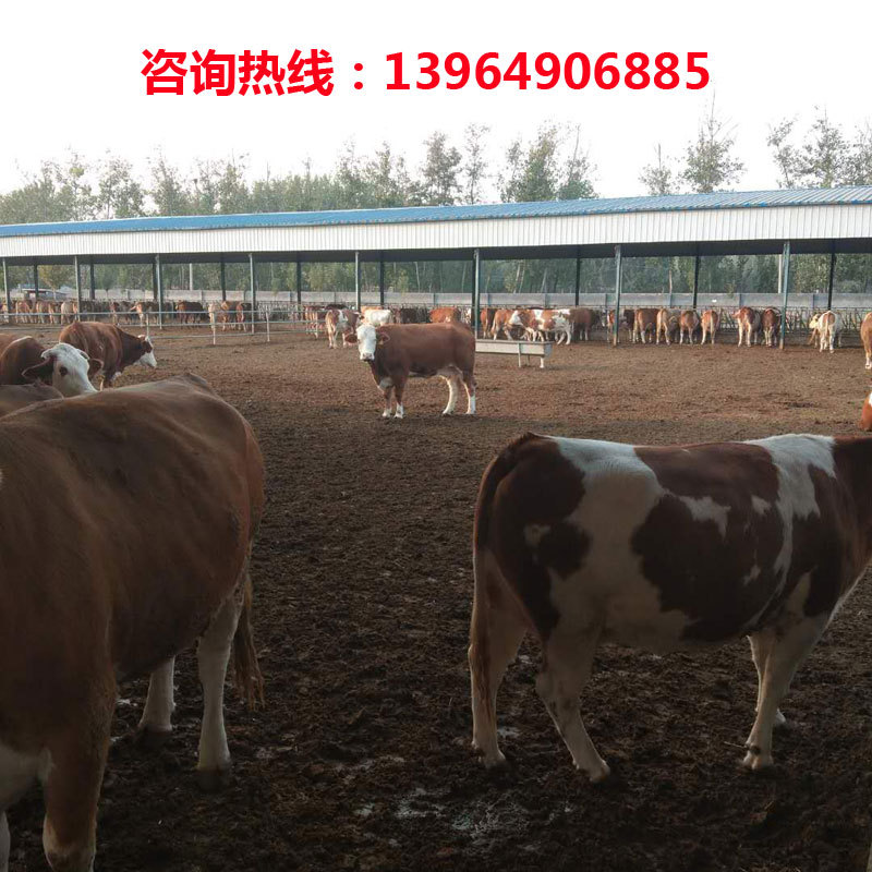 微信圖片_20181022214847.jpg