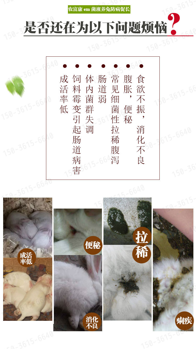兔用em菌液治拉稀