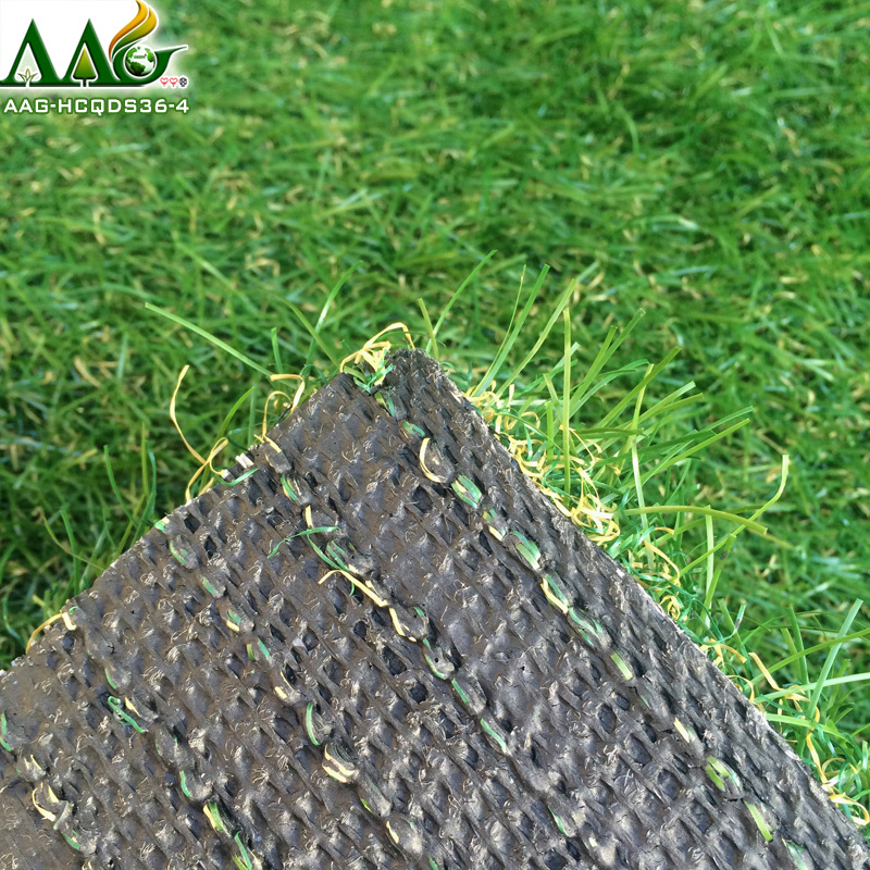 2018-AAG-HCQDS36-4-2