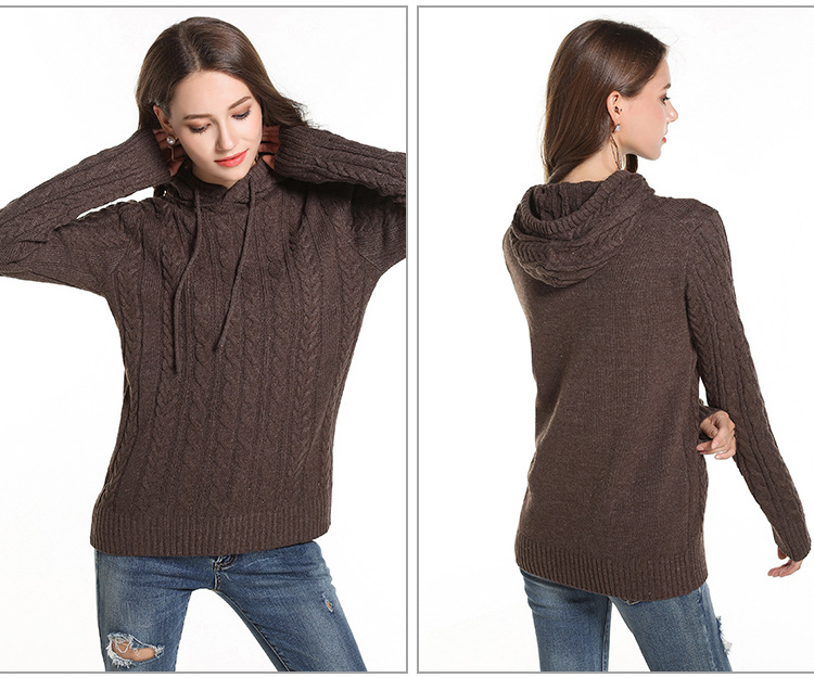 Casual Slim Hooded Knitwear NSYH22095