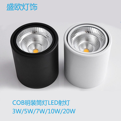 Sheng ou led Surface mounted downlights Open hole Adjustable angle 5w10w20w Tile shop cob Ceiling Spotlight Ceiling