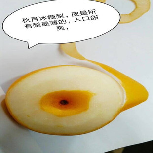 ������������ �����S�� ��������� �޽������ ����Y�������