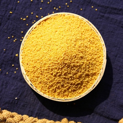 批发山西黄小米新米500g真空月子米小米粥五谷杂粮孕妇晋谷小黄米