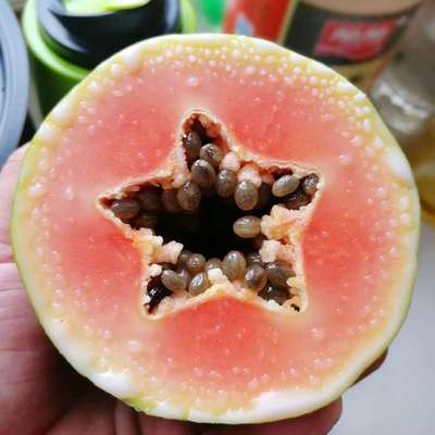 【红心糖心牛奶甜木瓜】新鲜果甜肉厚实香气浓郁包邮一件代发11|ru