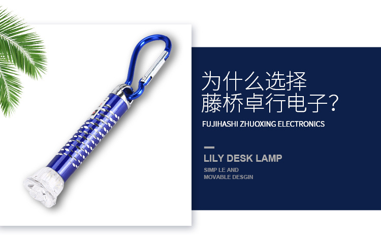 温州市鹿城区藤桥卓行电子厂_04