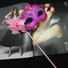 Handheld mask for princess, halloween, graduation party