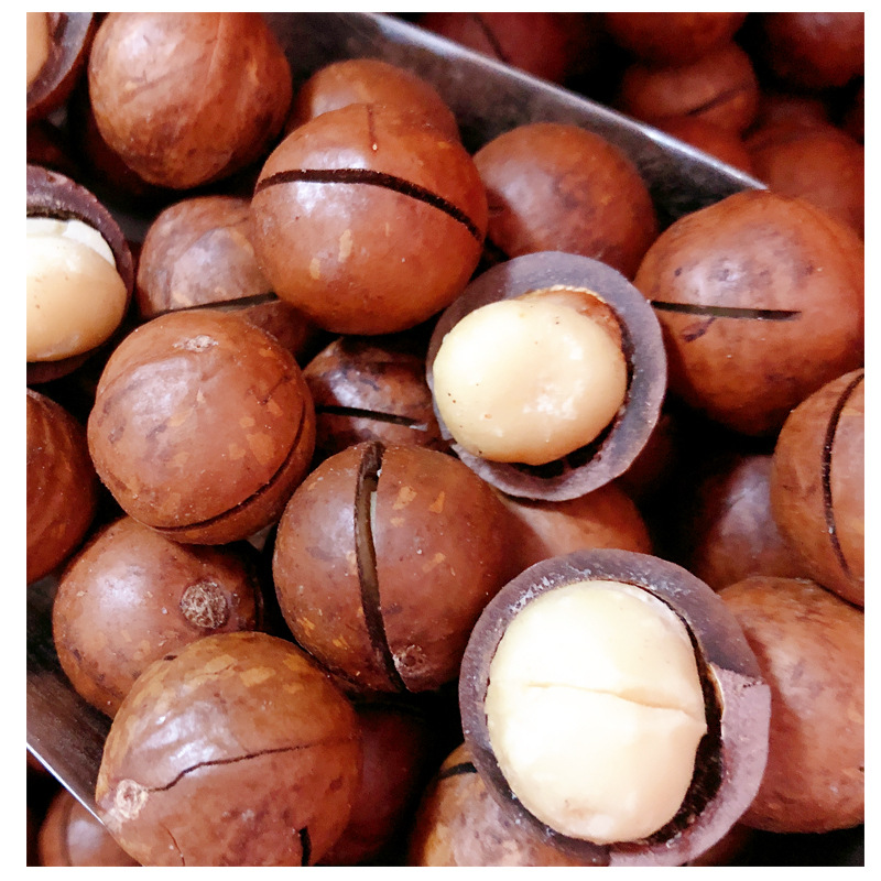 Hawaiian fruit bulk 10 Creamy Australia nut 5 pounds Full container wholesale Dry Fruits Opener