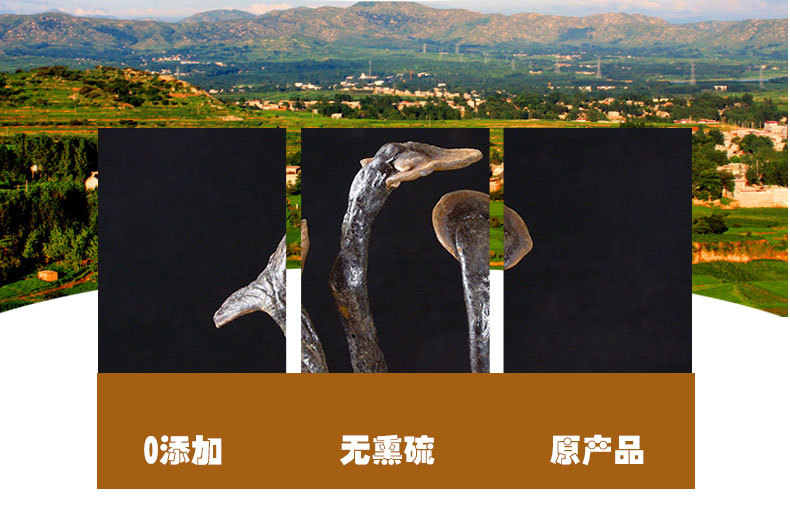 Bamboo Reishi Mushroom (Ganoderma lucidum) — Dried Wild Mountain Lingzhi Slices, 500g quality and texture