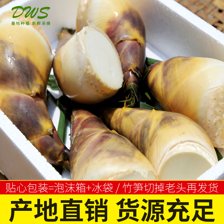 【微供】【僅售周邊省份】台灣甜筍順豐包郵 福建新鮮竹筍山貨