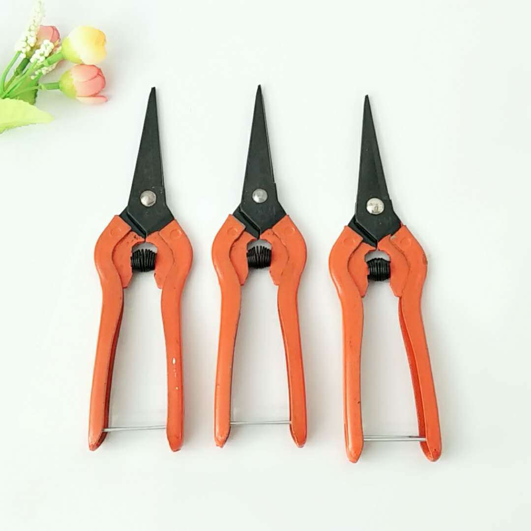 微信图片_201808291105338