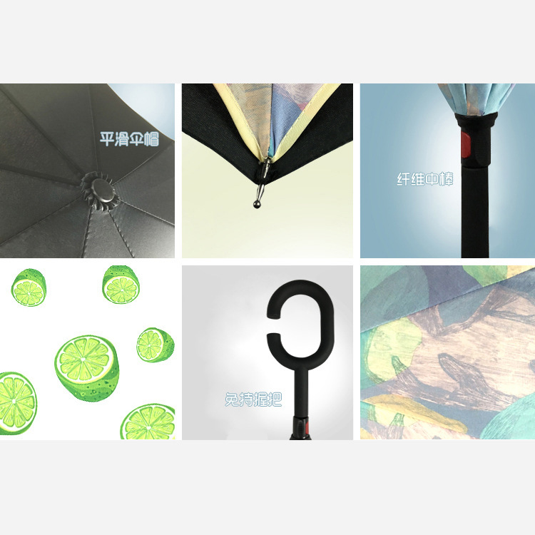 3390041251_1067648600