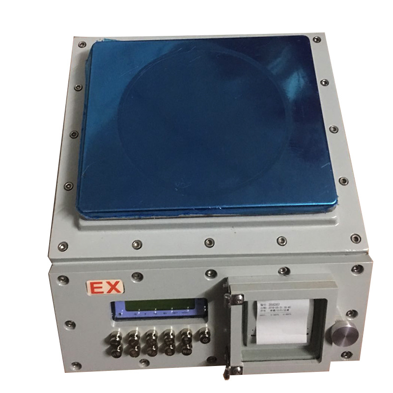 台恒 带打印带u盘隔爆电子秤可储存 定制隔爆仪表防爆电子 桌面秤