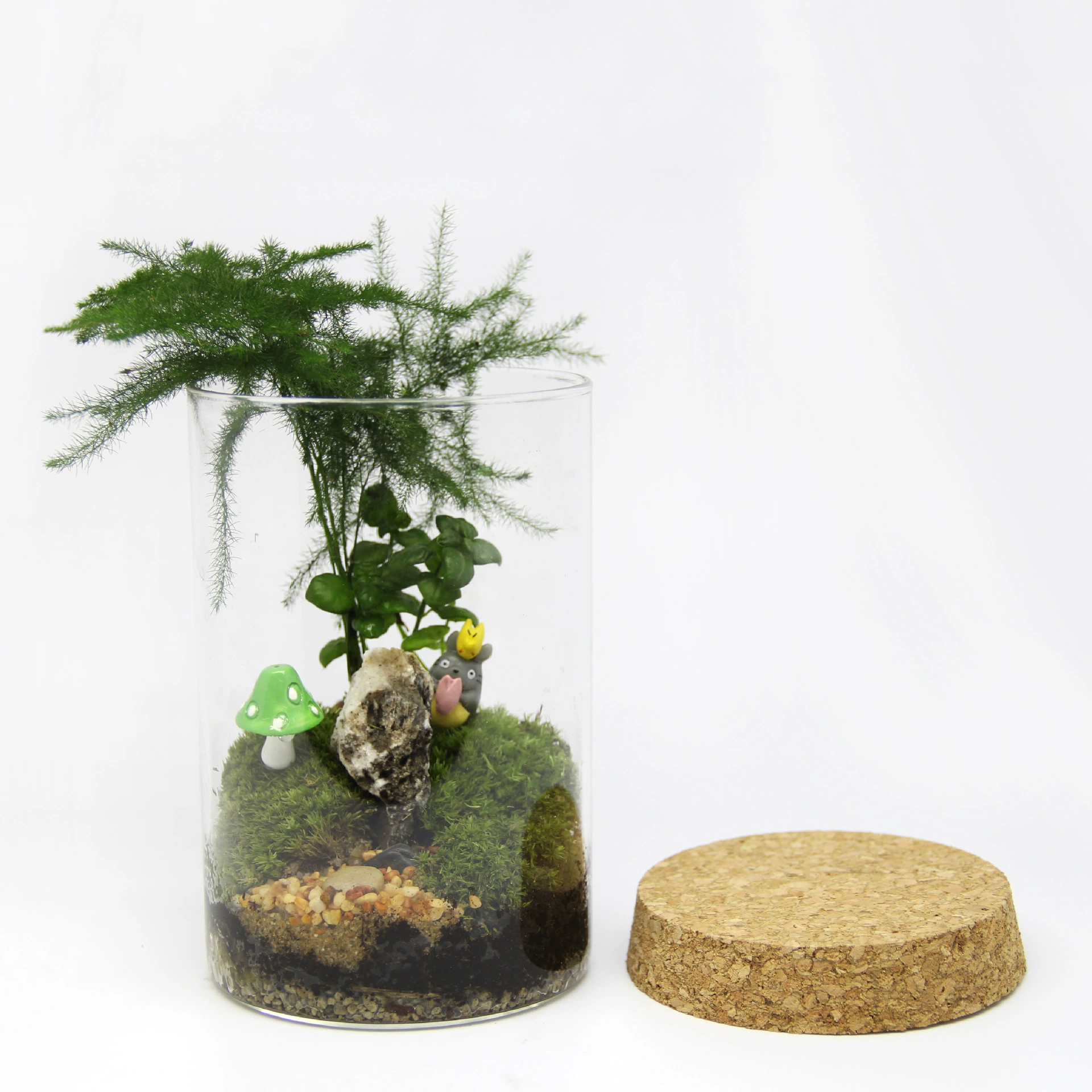 Мох микропейзаж творческий подарок украшение подарок бутылка мха экологическая бутылка цилиндрическая бутылка завод маленький мир