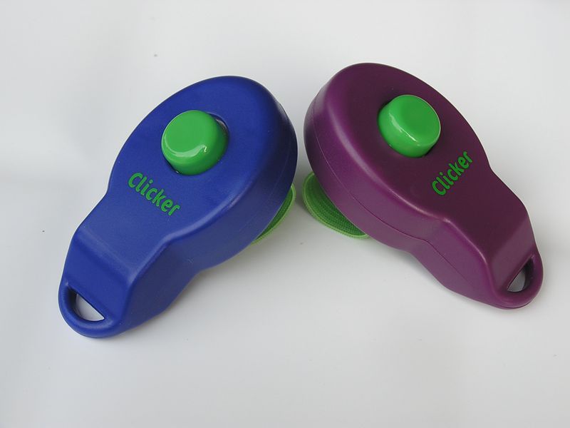 P1010023.JPG