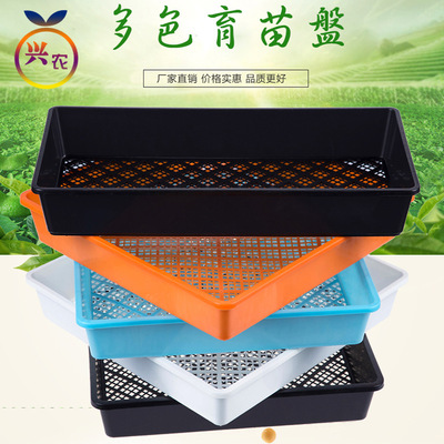 瑪咖盤 育苗盤 正方盤長方盤  芽菜盤  雲南瑪咖育苗種植盤