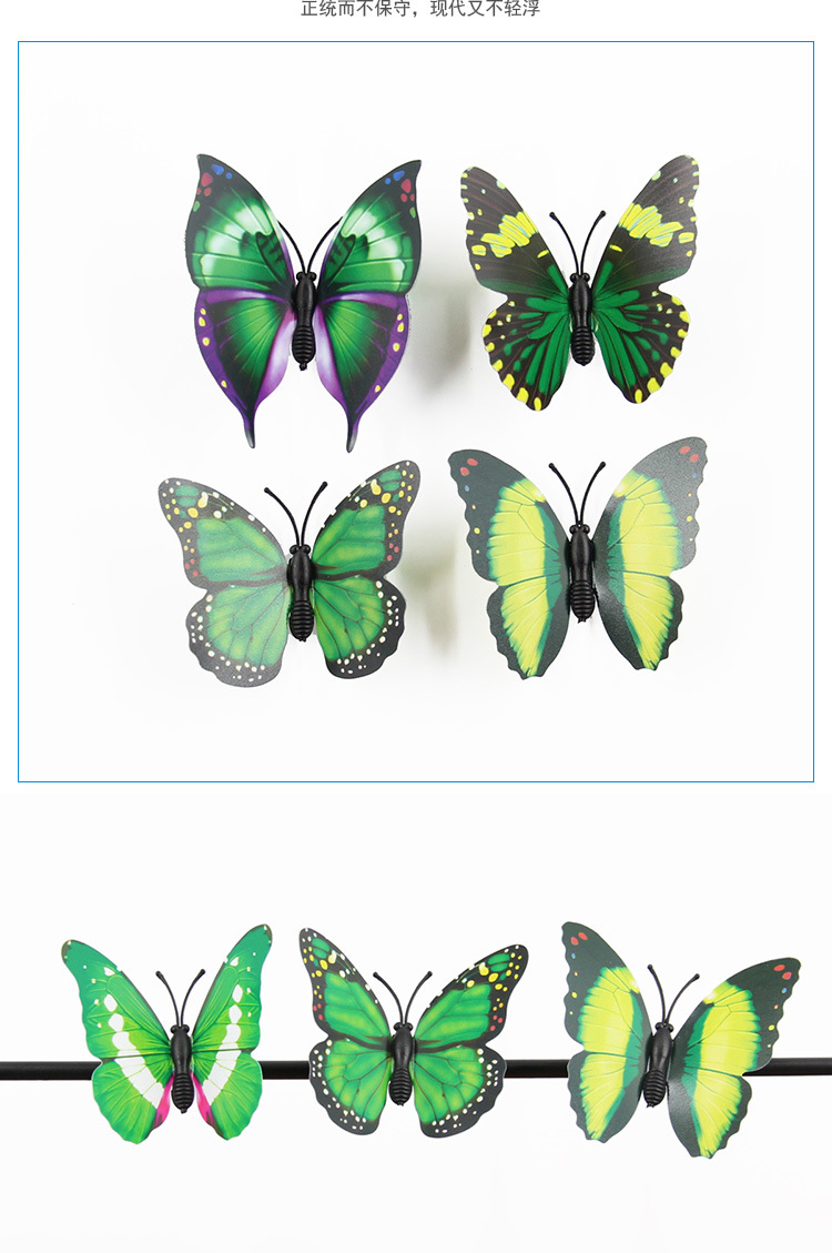 蝴蝶_24.jpg