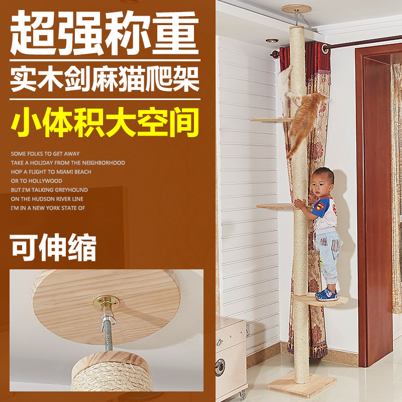 원목 고양이 클라이밍 프레임 도매 맞춤형 천장까지 닿는 고양이 용품 고양이 장난감 고양이 집 나무 고양이 케이지 우주 캡슐 고양이