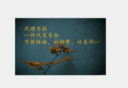 一件代发链接 代理链接 补邮费补差价