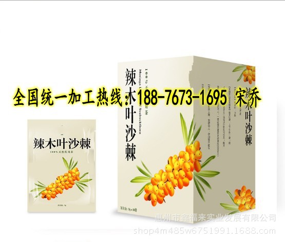 辣木叶沙棘795_conew3