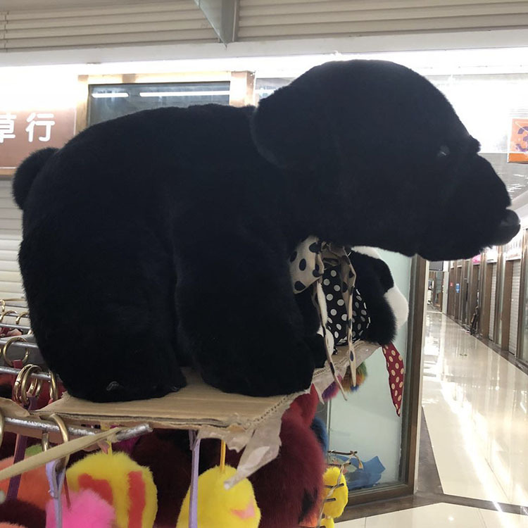 �������������ܹ���̡��ë����Ʒ�����ܴ��ܹ�����ż�����ڼ�