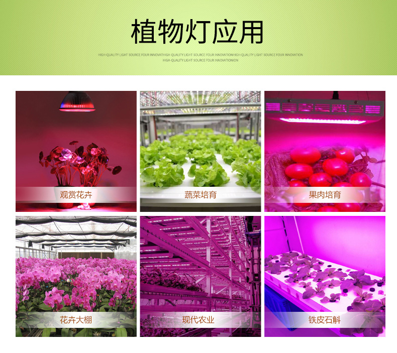 新阿凡达详情页2_04