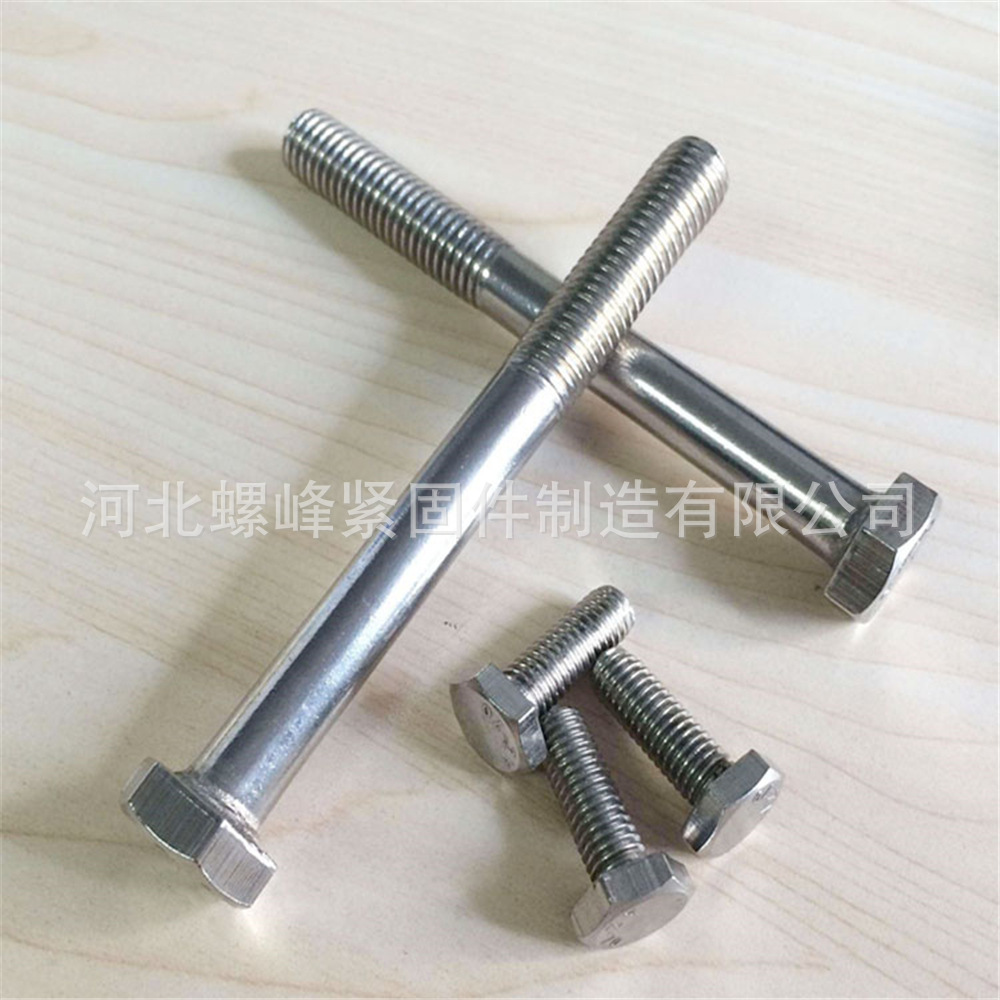 不銹鋼六角頭螺栓 (6).jpg