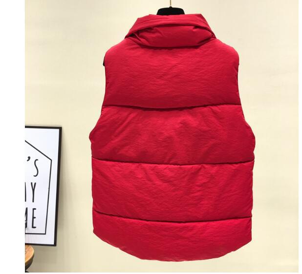 Gilet femme en Fibre de polyester - Ref 3317518 Image 18