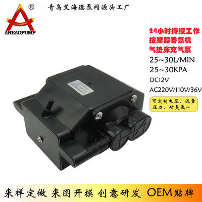 厂家供应静音隔膜泵220V交流高压大流量热风拆焊台电动微型气泵|ru