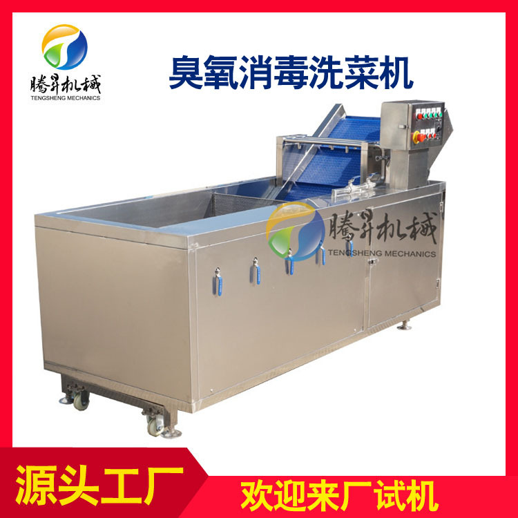 2米洗菜机蓝输送带2
