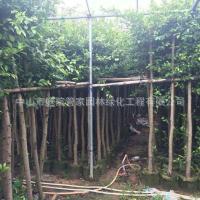 ����ֱ�N �S��� ���~�� ������ ����ɼ �S�^ �l�� ͥԺ �G����r