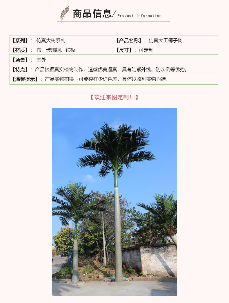 大王椰子树详情页_04.jpg