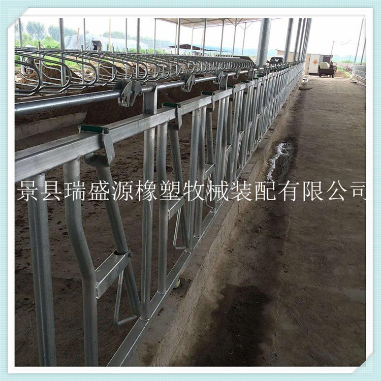 养牛场挤奶机设备配件 挤奶厅用牛颈枷 牛颈枷配件