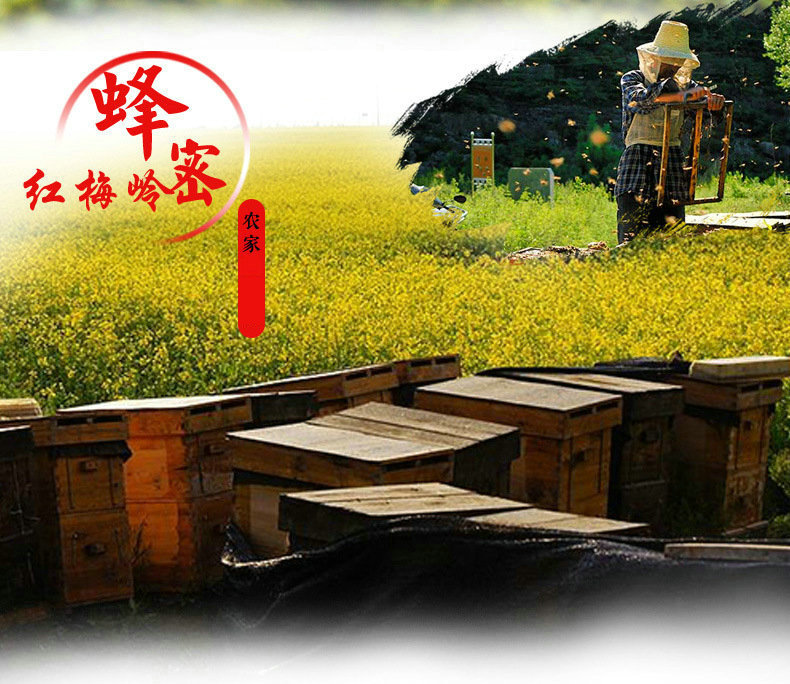 3531664438_1216318785