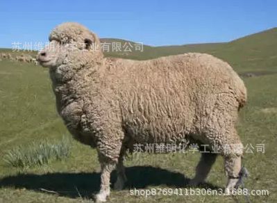 纺织助剂印染助剂 羊毛保护剂Albenol WT-P