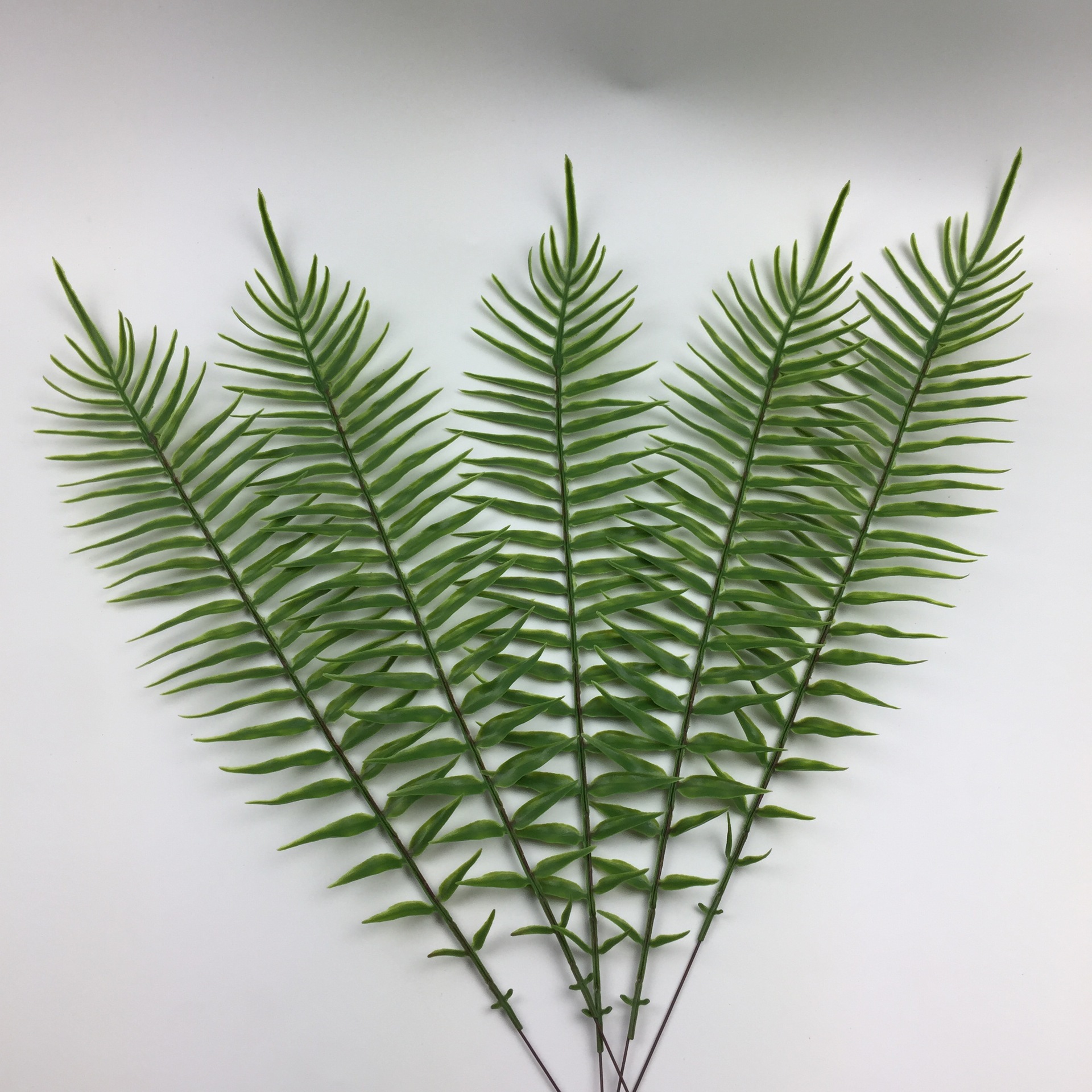 hWmWgv6gydSDhfN8O//yI0Ve/fpKBk7Fz/1tIMG_8573