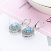 Earrings, accessory, suitable for import, wish, Japanese and Korean