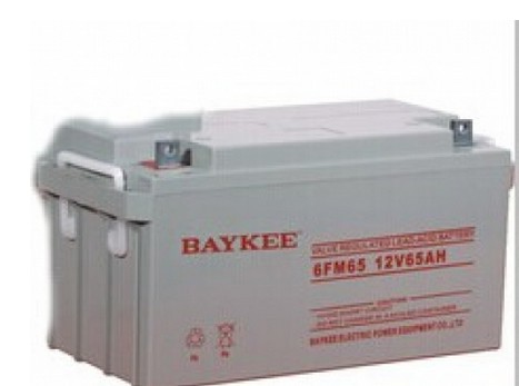 BAYKEE/柏克蓄电池6FM65,12V6H阀控密封式铅酸免维护现货