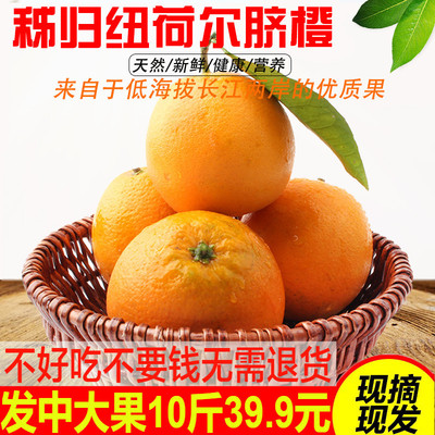 Zigui Navel fresh fruit Newhall Orange 10 Blood Orange Gannan Candy orange